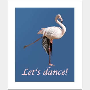 Let's dance flamingo Posters and Art